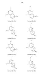 Figure imgf000025_0001