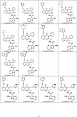 Figure imgf000092_0001