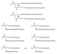 Figure imgf000044_0001