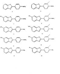 Figure BSA00000644637200311