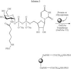 Figure US08247381-20120821-C00053