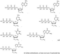 Figure imgf000038_0001