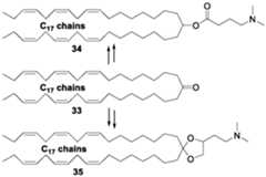 Figure imgf000037_0001