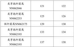 Figure BDA0002978200010002241