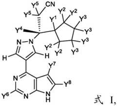 Figure GDA0002150898410000131