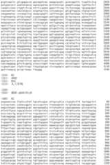 Figure IDA0002536600790000561