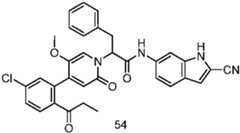 Figure GPA0000257967300001011