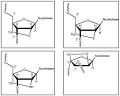 Figure imgf000054_0001