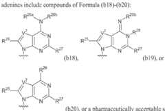 Figure imgf000683_0001