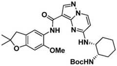 Figure BDA0001702803240006501