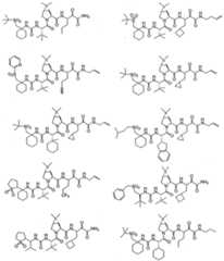 Figure imgf000313_0001