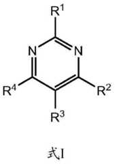 Figure BDA00003356338300021