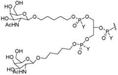 Figure imgf000507_0002