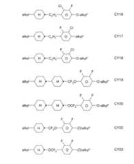 Figure 2024079817000037