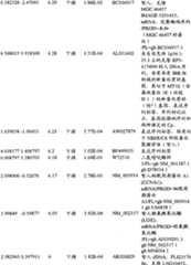 Figure BPA00001280678302511