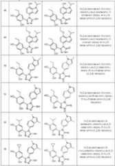 Figure imgf000037_0001