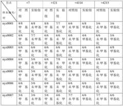 Figure BDA0001290381280000091