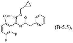 Figure imgf000011_0003
