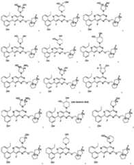 Figure PCTCN2022124111-appb-000058