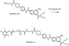 Figure BDA0003652151060001271
