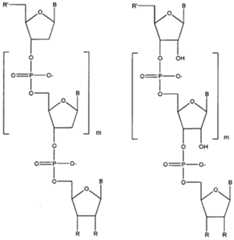 Figure imgf000014_0001