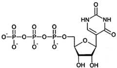 Figure imgf000089_0002