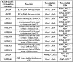 Figure imgf000086_0002