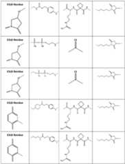 Figure imgf000306_0001