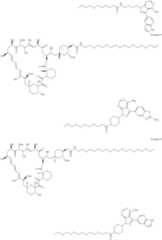 Figure US11364300-20220621-C00204