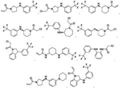 Figure imgf000005_0001