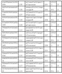 Figure 112017054487516-pct00107