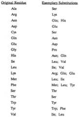 Figure imgf000007_0001