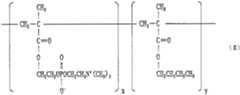 Figure JPOXMLDOC01-appb-C000002