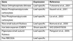 Figure imgf000020_0001