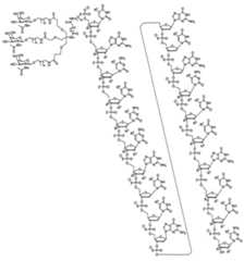 Figure 0007429103000019