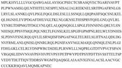 Figure BDA0003658655810002868