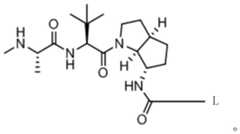 Figure BDA0003027048450000561