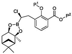 Figure imgf000006_0001
