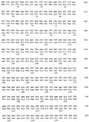 Figure imgf000192_0001