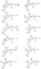 Figure imgf000088_0001