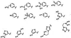 Figure 112007011503269-PCT00028