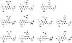 Figure PCTCN2022124111-appb-100020