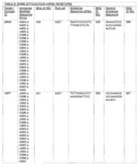 Figure imgf000104_0001