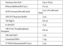 Figure BDA0003154168970001261