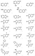 Figure imgf000021_0001