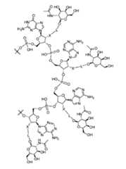 Figure imgf000304_0001