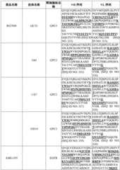 Figure BDA0003627552160001641