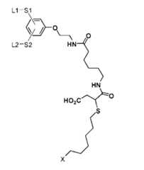 Figure 106103567-A0304-12-0083-102
