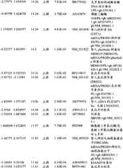 Figure BPA00001280678303081