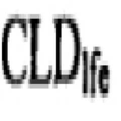 Figure 112010022243671-pct00038